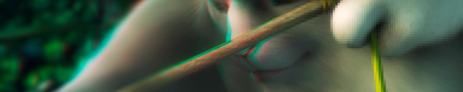 bunny